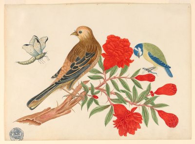 Pájaro Marrón y Negro y Pájaro Azul y Amarillo en Rama con Flores Rojas, Cazando Insectos de Unknown artist