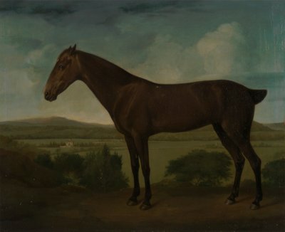 Caballo pardo en un paisaje de colinas de Unknown artist
