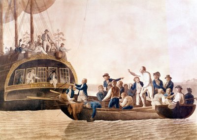 Capitán William Bligh (1754 - 1817) del Bounty abandonado por su tripulación. de Unknown artist