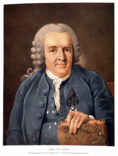 Carl Von Linné naturalista y escritor sueco de Unknown artist