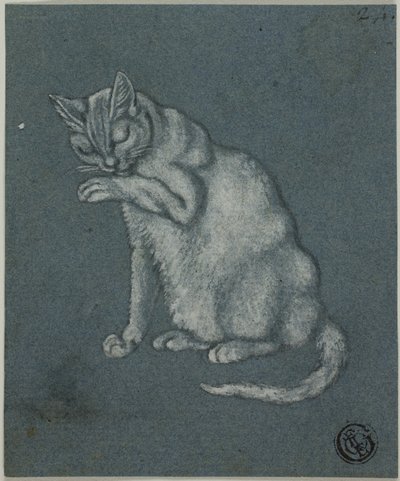 Gato lamiéndose la pata de Unknown artist