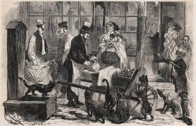 El vendedor de carne de gato en una calle del distrito de Westminster en Londres, un comerciante ambulante de carne de caballo para perros y gatos - Grabado en "Le Monde Illustré" de Unknown artist