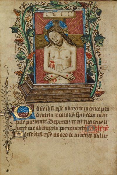 Cristo, varón de dolores de Unknown artist