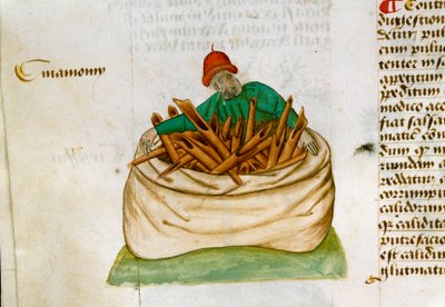 Vendedor de canela. Descripción de plantas medicinales y cómo prepararlas. Página de manuscrito 