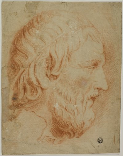 Perfil clásico de hombre barbudo de Unknown artist