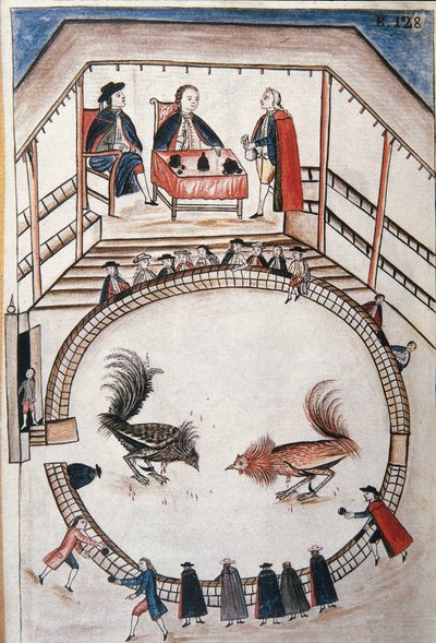 Pelea de gallos, un noble asiste al duelo, del libro "Trujillo del Perú" o "Códice Martínez Compañón", por Baltazar Martinez Compañón y Bujanda, obispo de Trujillo (1782-1785) de Unknown artist