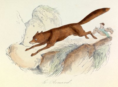 "Completes de Buffon" con la nomenclatura de Linneene y la clasificación de Cuvier: Les animaux: Le fox (grabado) de Unknown artist