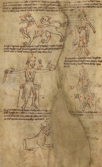 Diagramas de constelaciones de Unknown artist
