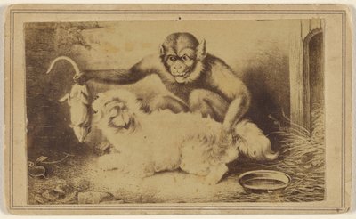 [Copia de un cuadro que representa a un mono sujetando a una rata por la cola delante de un pequeño perro blanco]. de Unknown artist