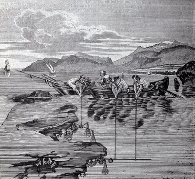 Pesca de coral con la ayuda de salaber y equipo. de Unknown artist