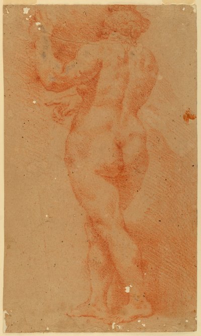 Estudio de contraprueba de una mujer desnuda de Unknown artist