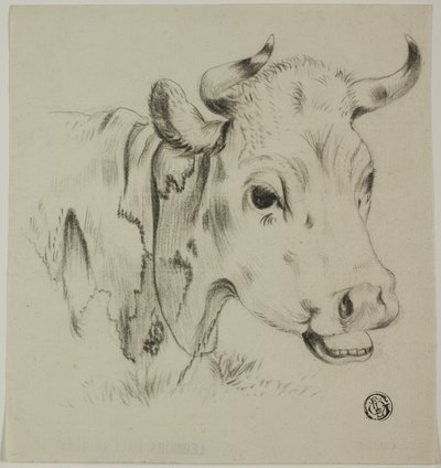 Cabeza de vaca de Unknown artist