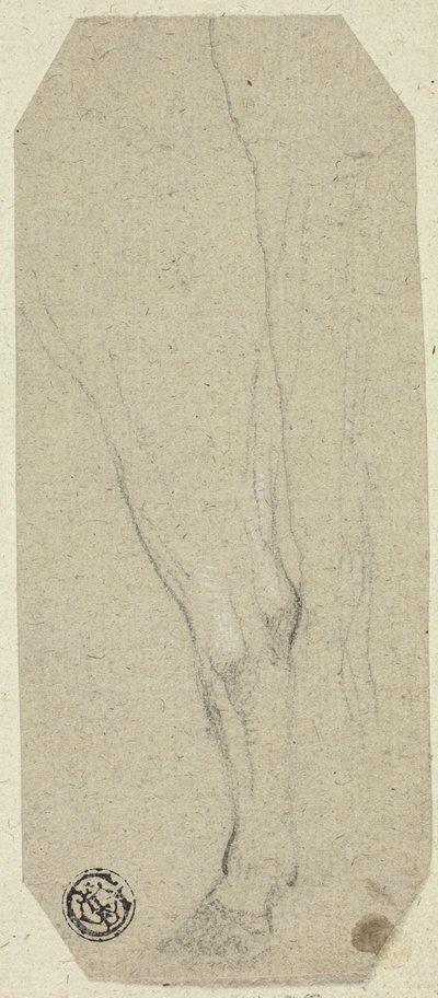 Pata de vaca de Unknown artist