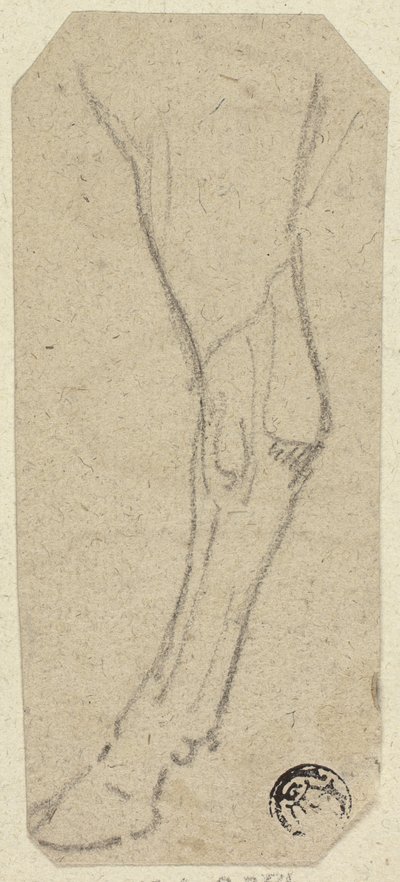 Pata de vaca de Unknown artist