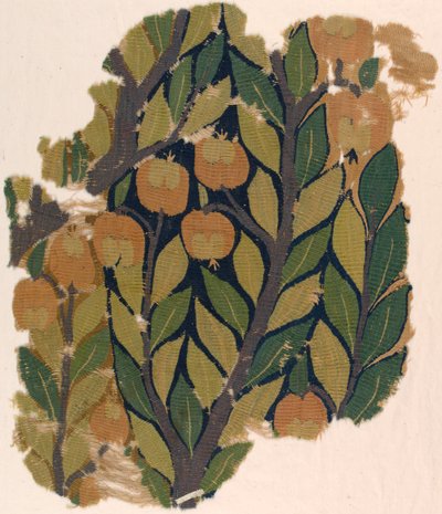 Fragmento de borde de cortina de Unknown artist
