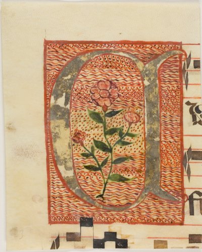 Inicial "A" decorada con flor de un manuscrito de Unknown artist