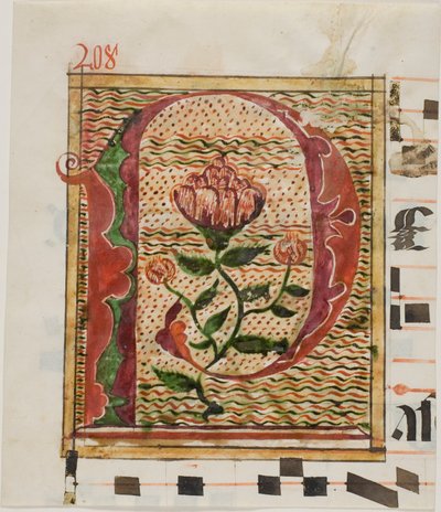 Inicial "P" decorada con flores de un manuscrito de Unknown artist