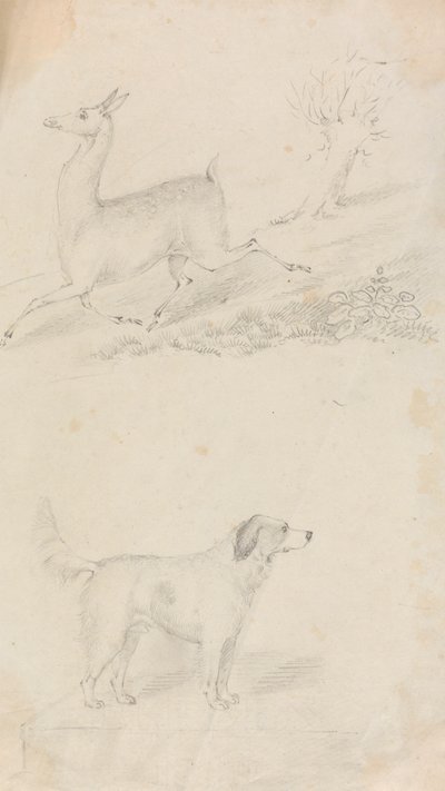 Ciervo y perro de Unknown artist