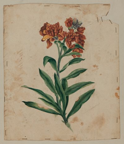 Dibujo de diseño, principios del siglo XVIII de Unknown artist