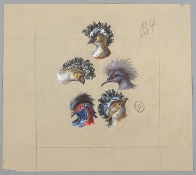 Diseño para Papel Tapiz y Textil: Pájaros de Unknown artist