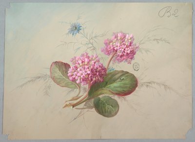 Diseño para papel pintado y textil: Flores de Unknown artist