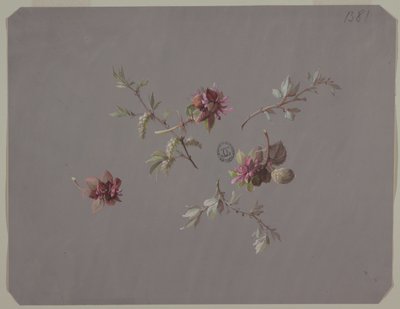 Diseño para papel tapiz y textiles: Flores de Unknown artist
