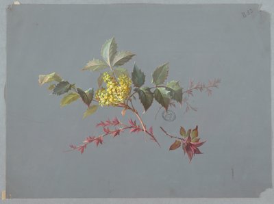 Diseño para Papel Tapiz y Textiles: Flores de Unknown artist