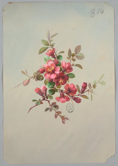 Diseño para papel tapiz y textiles: flores de Unknown artist