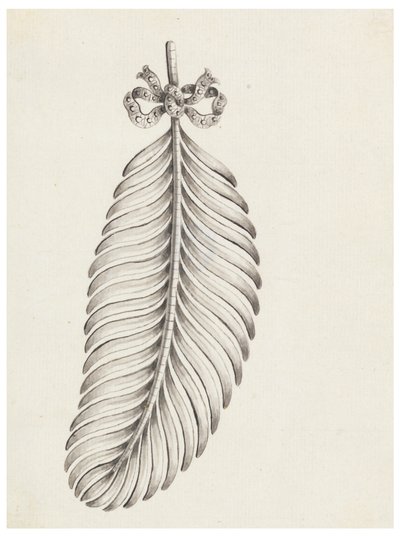 Diseño para un broche en forma de pluma de Unknown artist