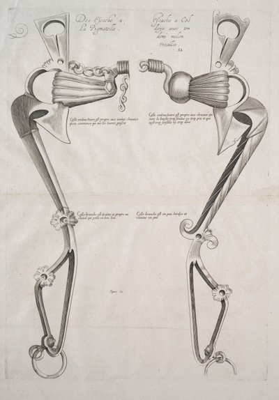 Diagrama del bocado del caballo de Unknown artist