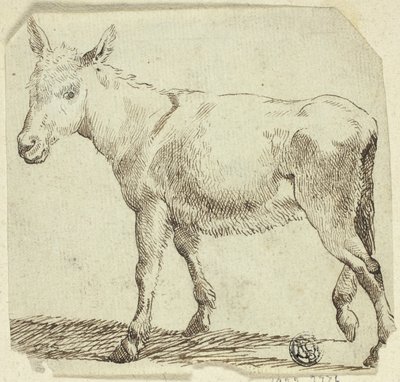 Burro de Unknown artist