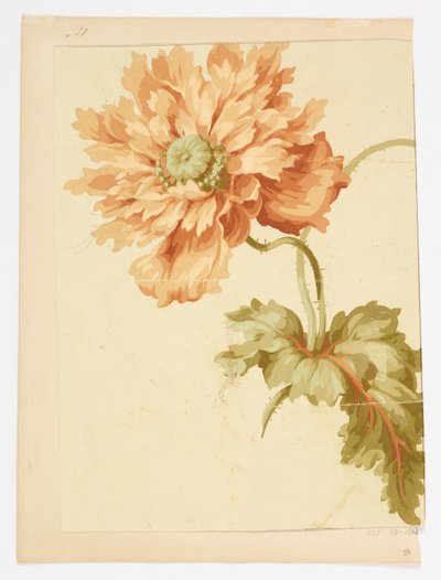 Dibujo de Unknown artist