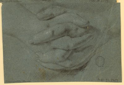Dibujo: Un estudio para manos plegadas de Unknown artist