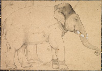 Drawing of an Elephant de Unknown artist