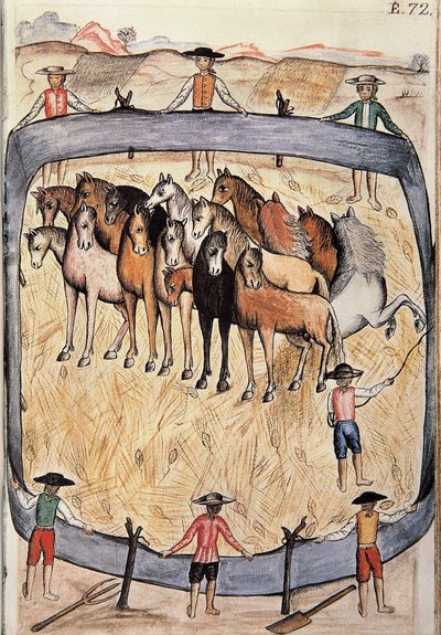 Doma de caballos salvajes, del libro "Trujillo del Perú" o "Códice Martínez Compañón", por Baltazar Martínez Compañón y Bujanda, obispo de Trujillo (1782-1785) de Unknown artist