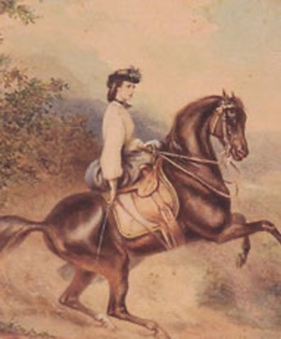 Isabel, emperatriz de Austria y reina consorte de Hungría (24 de diciembre de 1837 - 10 de septiembre de 1898) (ilustración) de Unknown artist