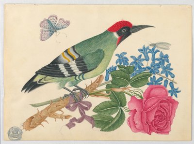 Pájaro carpintero verde europeo en rama con rosa y nomeolvides de Unknown artist