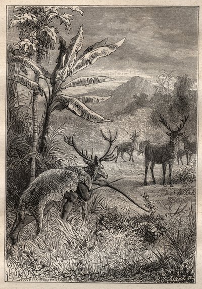 Expedición alrededor del mundo (1785-1788) por Jean Francois Galaup de La Perouse (1741-1788): técnica de caza de los indios de la Bahía de Monterey (California) - ilustración de “The Grands Mariners of the 18th century” de Unknown artist