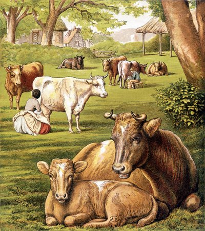 Granjeros ordeñando. Siglo XIX. de Unknown artist