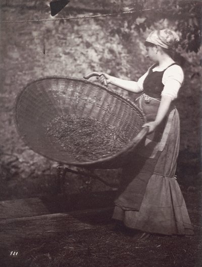 [Campesina con cesta de aventar] de Unknown artist
