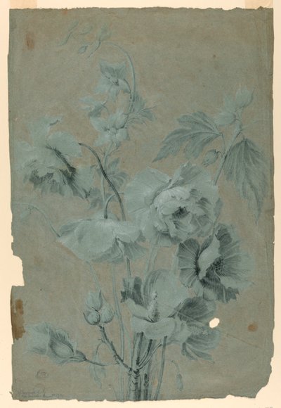 Diseño floral de Unknown artist