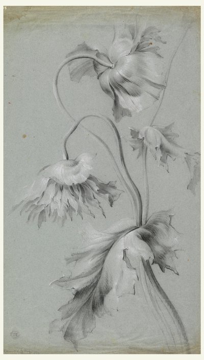 Diseño floral de Unknown artist