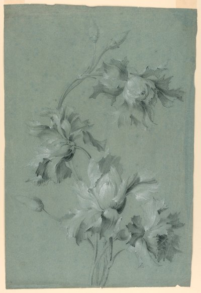 Diseño floral de Unknown artist