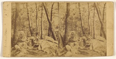 [Fontainebleau] de Unknown artist