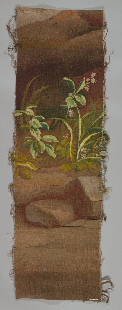 Fragmento de Unknown artist