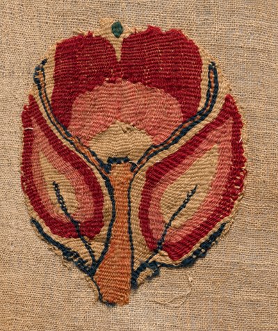 Fragments from a Curtain de Unknown artist
