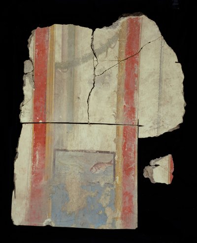 Fragmento fresco de Unknown artist
