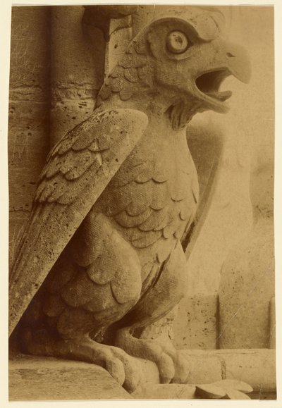 [Gárgola, Notre-Dame] de Unknown artist