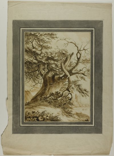 Roble gigante de Unknown artist