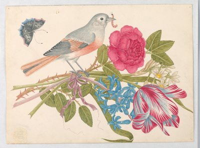 Pájaro gris y coral en ramo con rosa, tulipán, margaritas y nomeolvides, con mariposa de Unknown artist